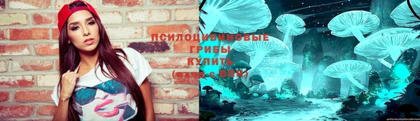 ешки Кукмор