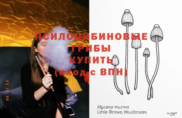 ешки Кукмор